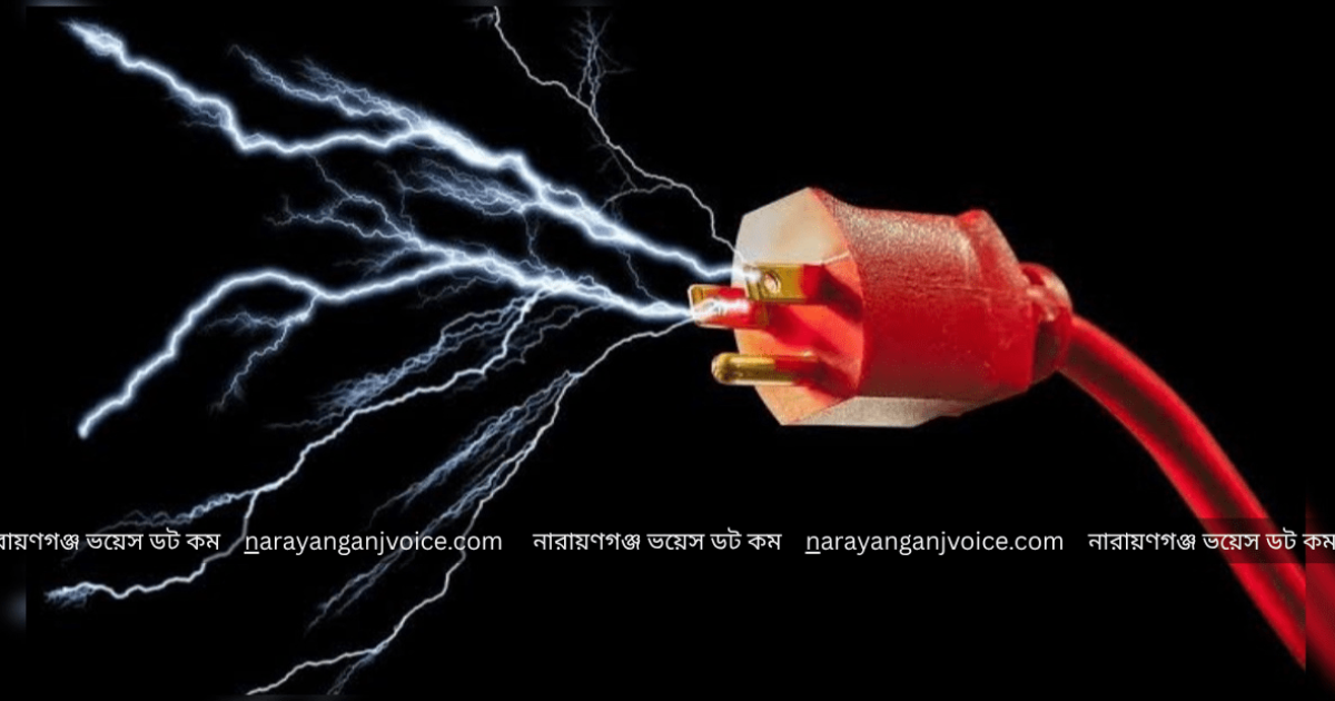 আড়াইহাজারে বিদ্যুৎস্পৃষ্টে গৃহবধূর মৃত্যু, মা ও মেয়ে গুরুতর আহত