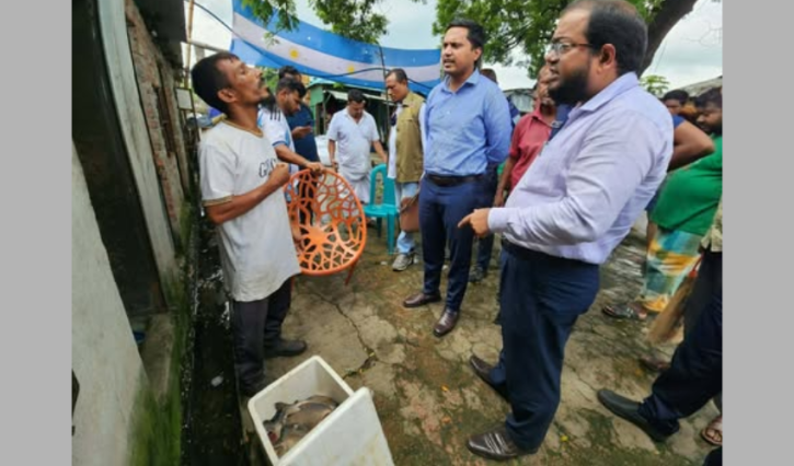 ফতুল্লায় পিরানহা মাছ বিক্রির দায়ে বিক্রেতার জরিমানা, ১০ কেজি মাছ জব্দ